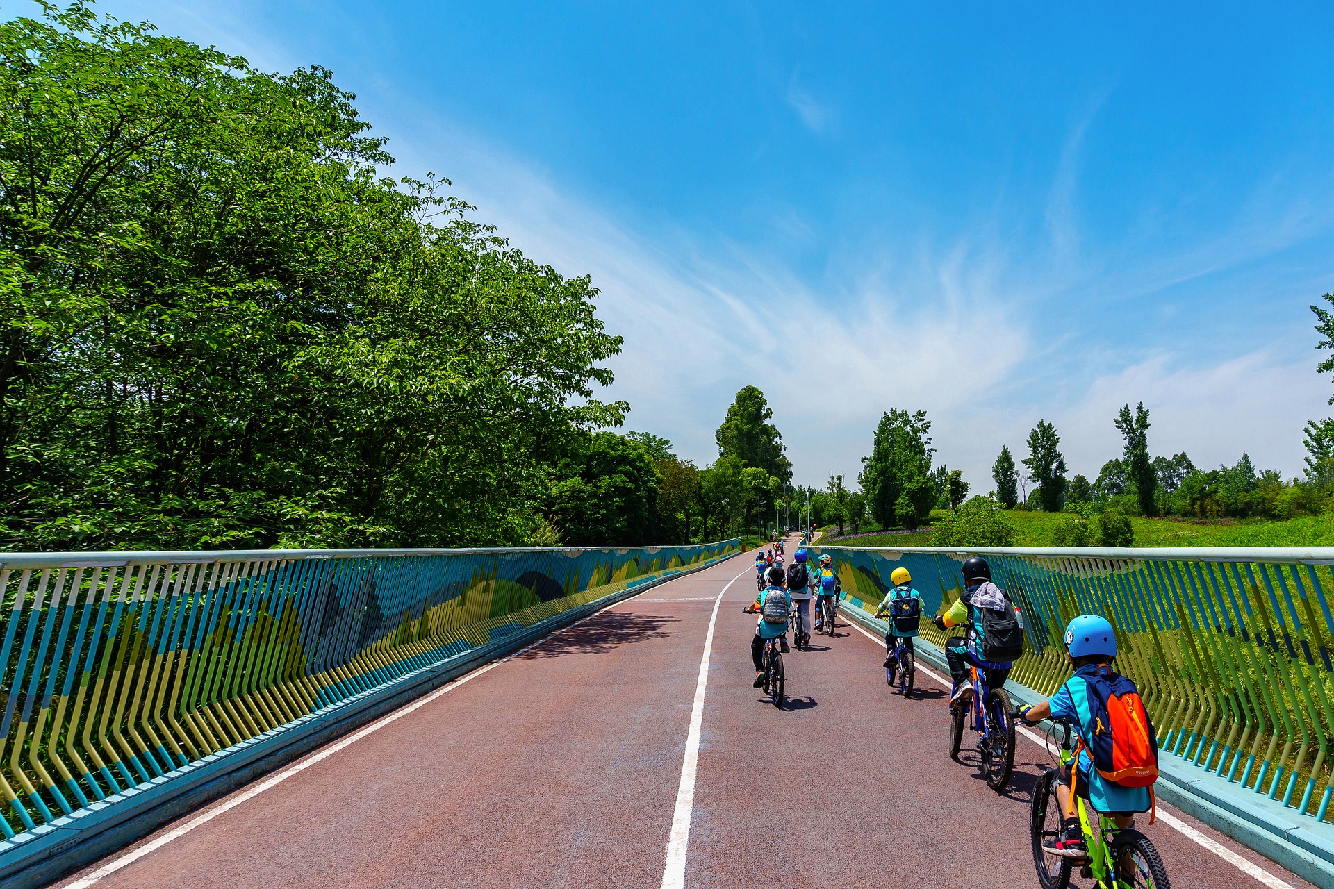 Bike lane online types