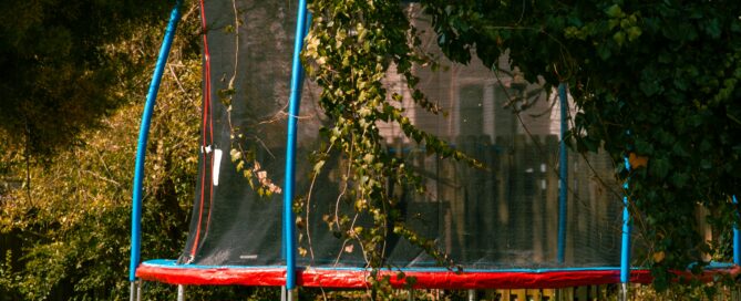 Bradenton immigration law services